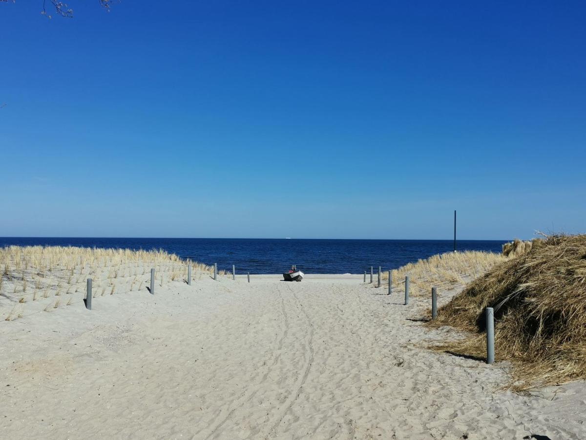 Apartment Waldblick Vom Naturhof Usedom Bannemin Ngoại thất bức ảnh