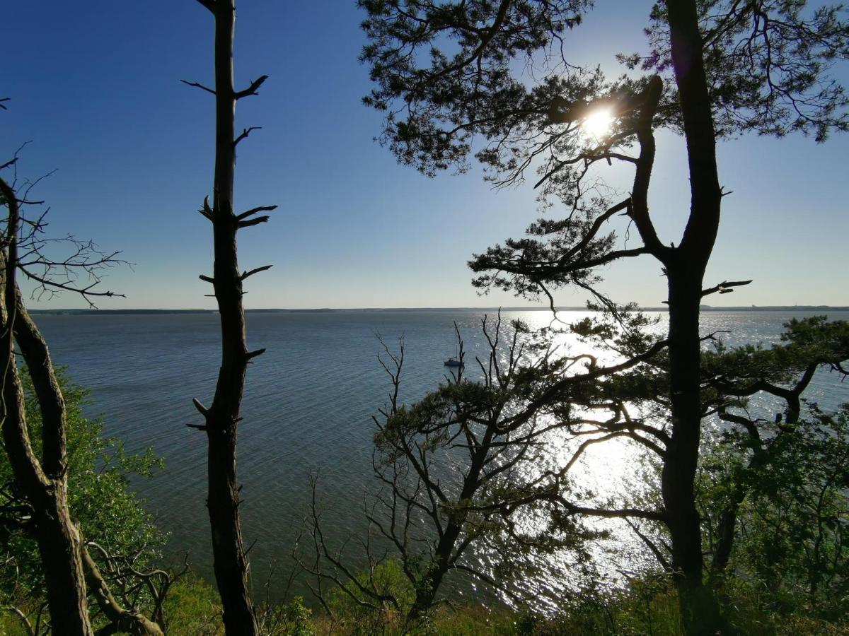 Apartment Waldblick Vom Naturhof Usedom Bannemin Ngoại thất bức ảnh
