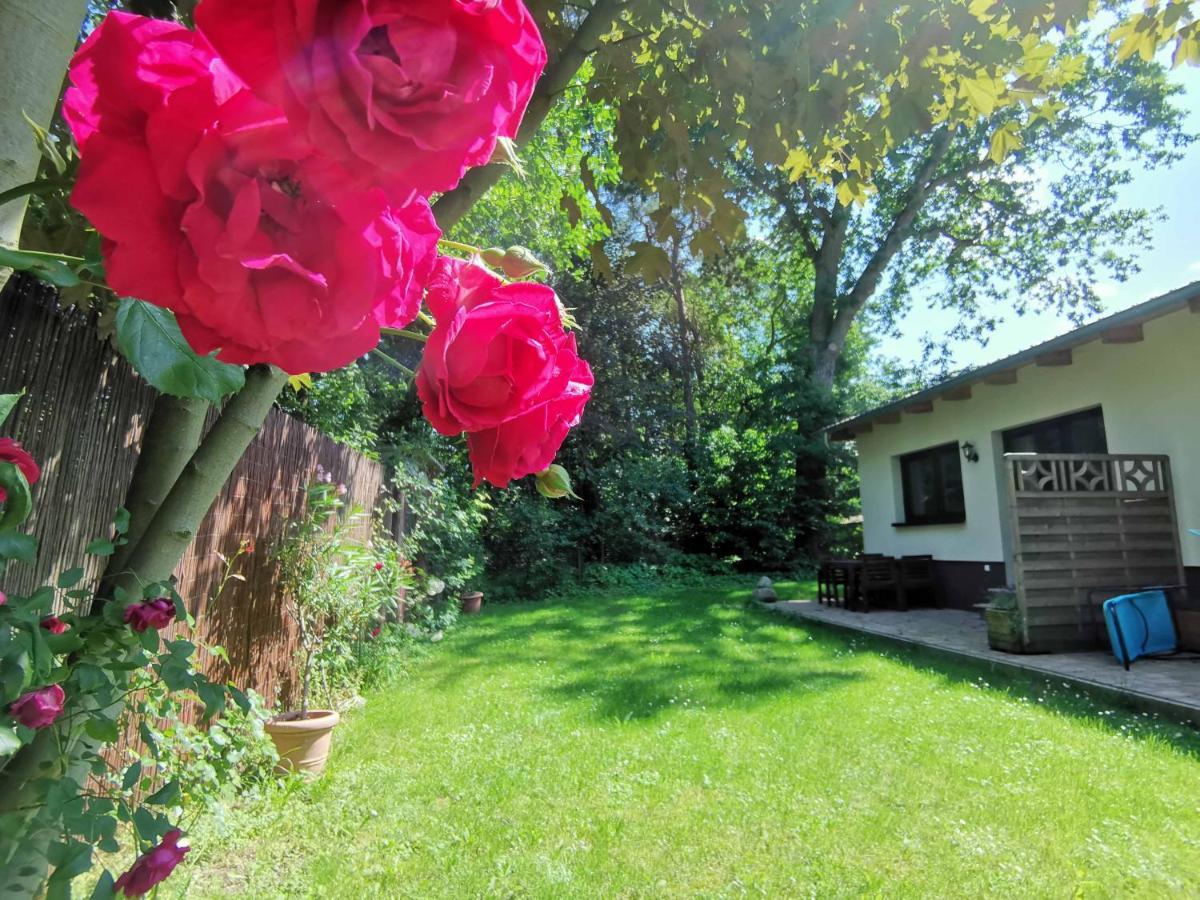 Apartment Waldblick Vom Naturhof Usedom Bannemin Ngoại thất bức ảnh